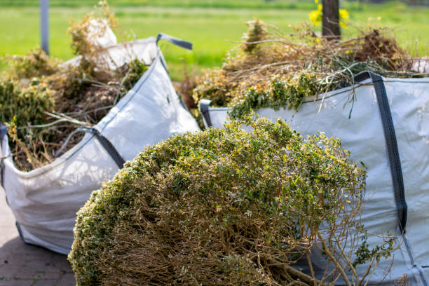 Best Commercial Cleanout Services  in Lehighton, PA